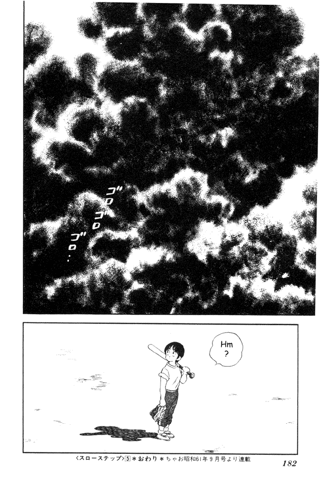 img Slow Step 22